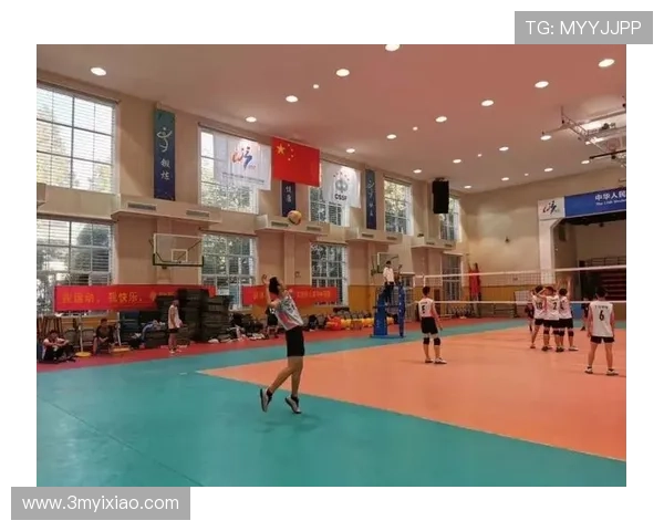 杭州排球队个人能力分析与整体表现评估